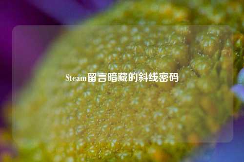 Steam留言暗藏的斜线密码