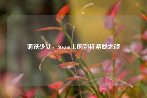 钢铁少女,Steam上的别样游戏之旅