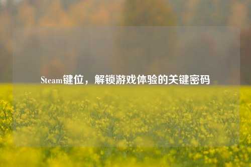 Steam键位,解锁游戏体验的关键密码