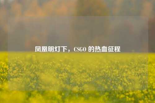 凤凰明灯下,CSGO 的热血征程