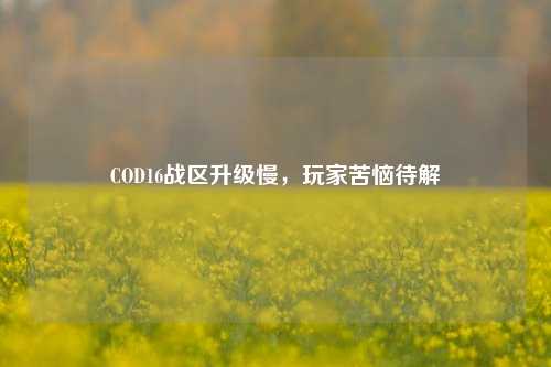 COD16战区升级慢,玩家苦恼待解