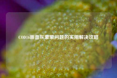COD16画面灰蒙蒙问题的实用解决攻略