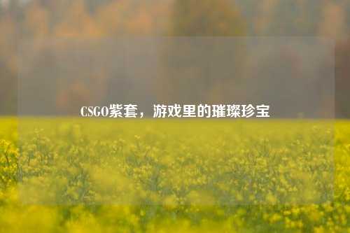 CSGO紫套,游戏里的璀璨珍宝