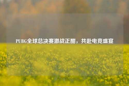 PUBG全球总决赛激战正酣,共赴电竞盛宴