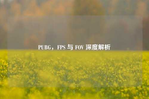 PUBG,FPS 与 FOV 深度解析