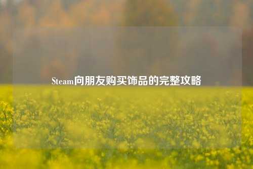 Steam向朋友购买饰品的完整攻略