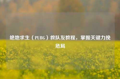 绝地求生(PUBG)救队友教程,掌握关键力挽危局