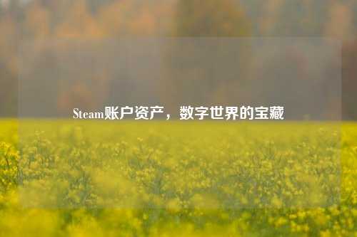Steam账户资产,数字世界的宝藏