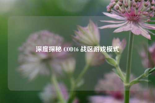 深度探秘 COD16 战区游戏模式
