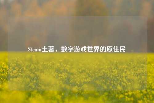Steam土著,数字游戏世界的原住民