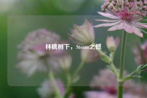 林檎树下,Steam之憾