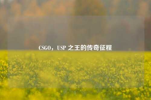 CSGO,USP 之王的传奇征程