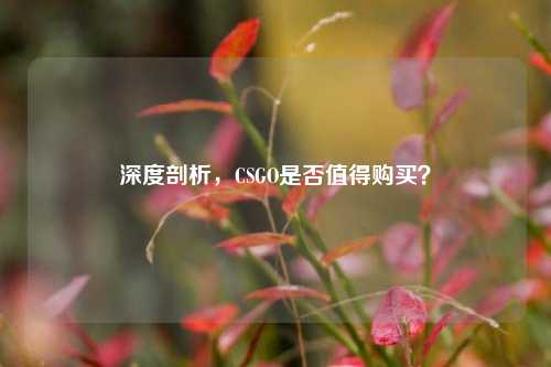 深度剖析,CSGO是否值得购买?