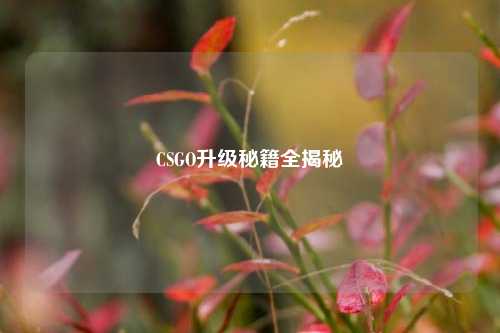 CSGO升级秘籍全揭秘