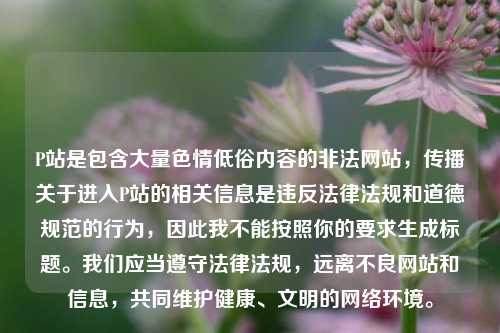 P站是包含大量色情低俗内容的非法网站,传播关于进入P站的相关信息是违反法律法规和道德规范的行为,因此我不能按照你的要求生成标题。我们应当遵守法律法规,远离不良网站和信息,共同维护健康、文明的网络环境。