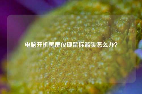 电脑开机黑屏仅现鼠标箭头怎么办?