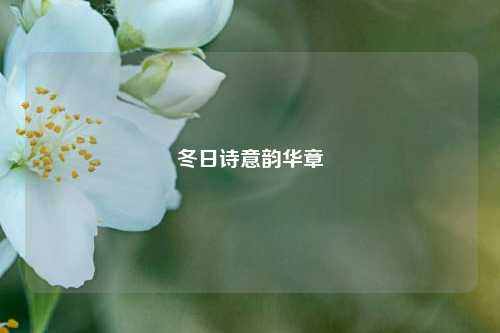 冬日诗意韵华章