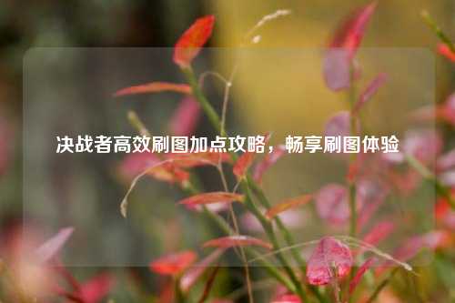 决战者高效刷图加点攻略,畅享刷图体验