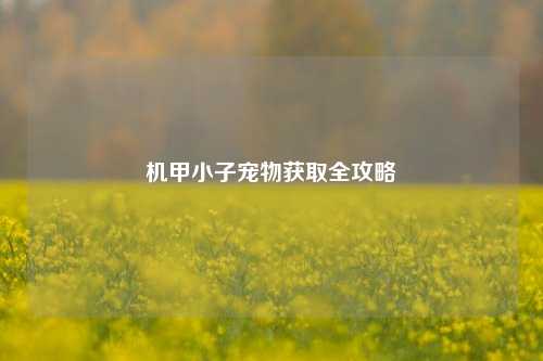 机甲小子宠物获取全攻略