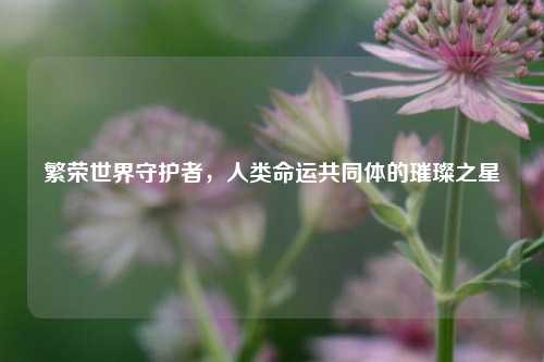 繁荣世界守护者,人类命运共同体的璀璨之星