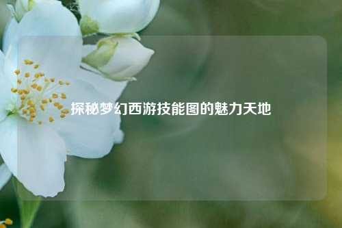 探秘梦幻西游技能图的魅力天地