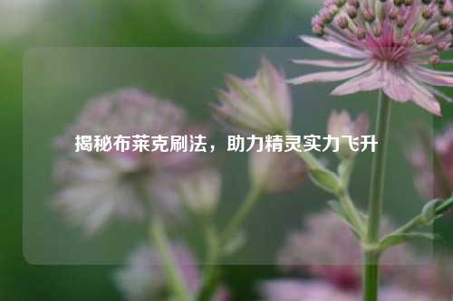 揭秘布莱克刷法,助力精灵实力飞升