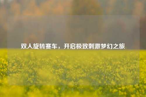 双人旋转赛车,开启极致刺激梦幻之旅