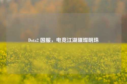 Dota2 国服,电竞江湖璀璨明珠