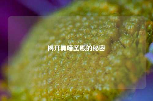 揭开黑暗圣殿的秘密