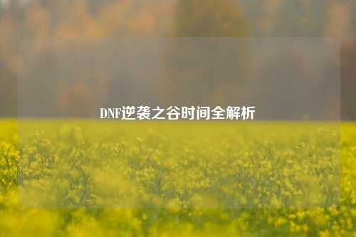 DNF逆袭之谷时间全解析