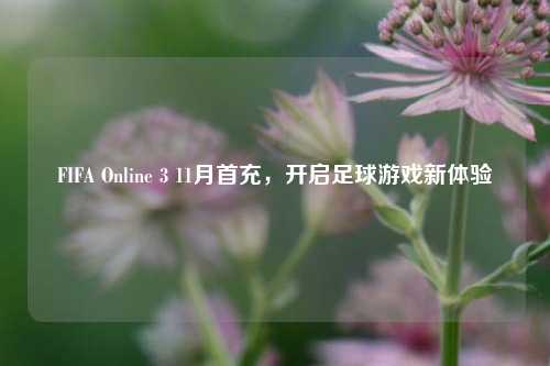 FIFA Online 3 11月首充,开启足球游戏新体验
