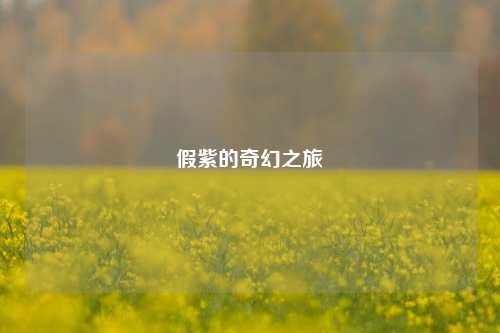 假紫的奇幻之旅