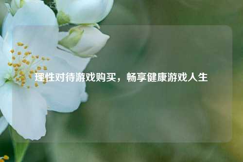 理性对待游戏购买,畅享健康游戏人生