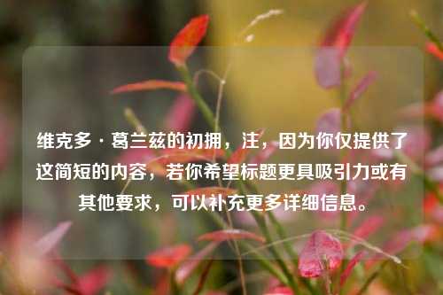 维克多·葛兰兹的初拥,注,因为你仅提供了这简短的内容,若你希望标题更具吸引力或有其他要求,可以补充更多详细信息。