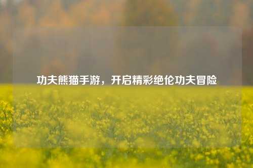 功夫熊猫手游,开启精彩绝伦功夫冒险