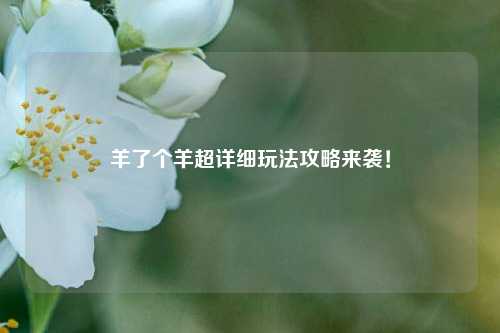羊了个羊超详细玩法攻略来袭!