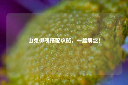 山兔御魂搭配攻略，一篇解惑！