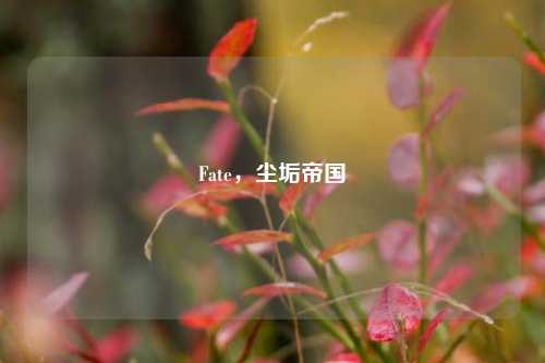 Fate,尘垢帝国