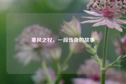 寒风之杖,一段传奇的故事