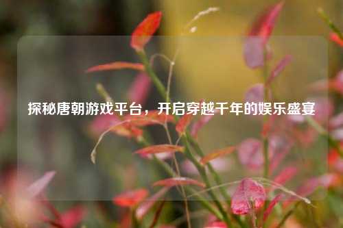 探秘唐朝游戏平台,开启穿越千年的娱乐盛宴