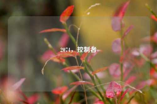 2074,控制者