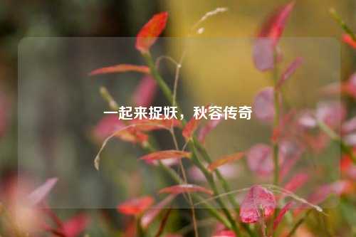 一起来捉妖,秋容传奇