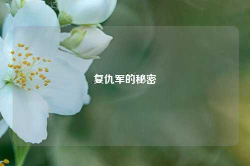 复仇军的秘密
