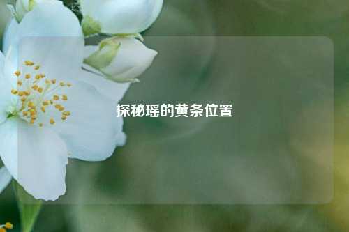 探秘瑶的黄条位置