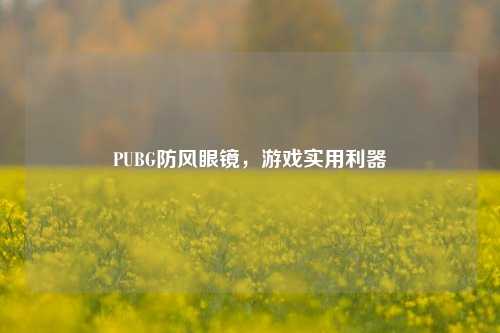 PUBG防风眼镜,游戏实用利器