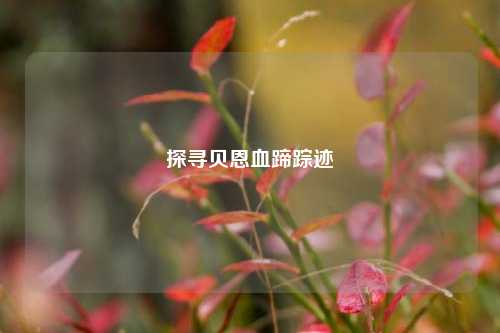 探寻贝恩血蹄踪迹