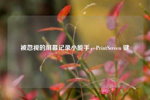 被忽视的屏幕记录小能手,PrintScreen 键