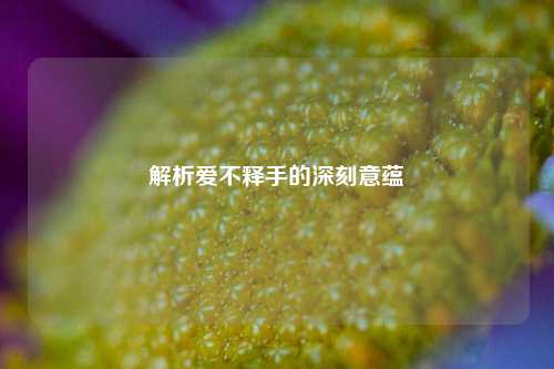 解析爱不释手的深刻意蕴