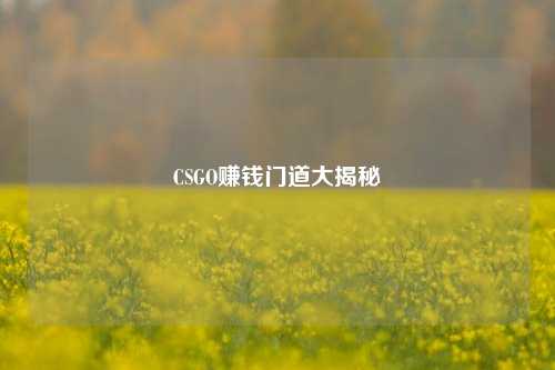 CSGO赚钱门道大揭秘