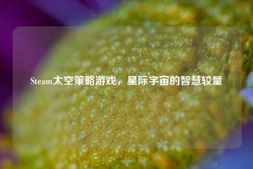Steam太空策略游戏,星际宇宙的智慧较量